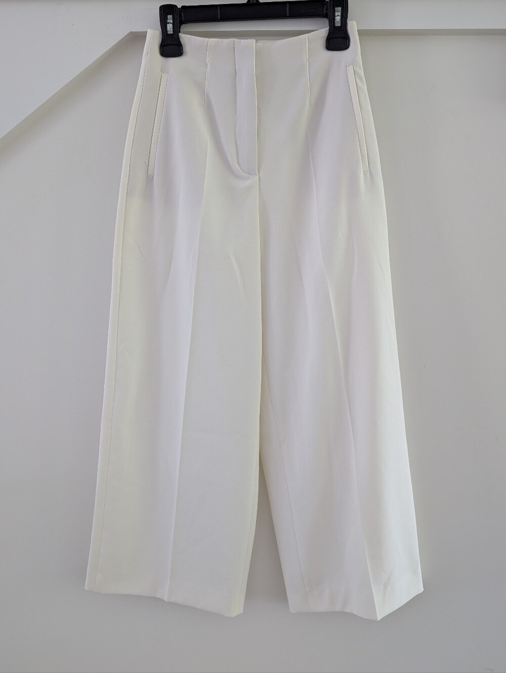 Zara Wide-Leg High Waisted Pants